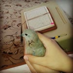 Fatma