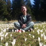 Seher