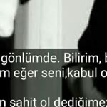 Metin