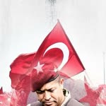 Ali