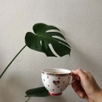 Neslihan