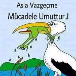 Pelin