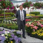 Metin