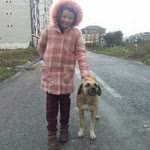 Bahar