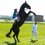 Sefer