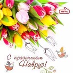 Shahla