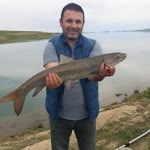 Rıza