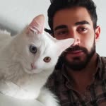 Mert