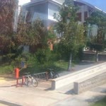 Şebnem