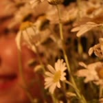 Ayse