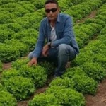 Murat