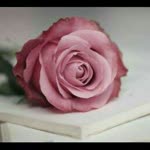 Meryem