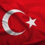 Şahin