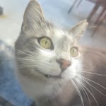 Ayşe