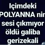 Neşe