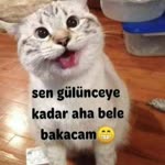 Rüzgr