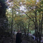 Şirin