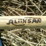 Aliihsan