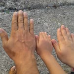 Rabia
