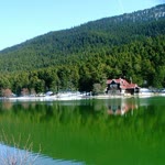 Münevver