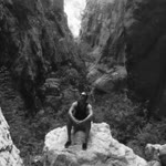 Onur