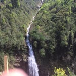 Bedriye