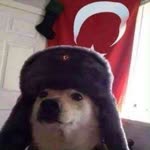 Samet