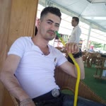 Şahin