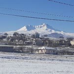 Ergin