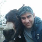 Engin