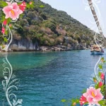 Meral