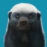 Hasan