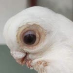 Profil fotoğrafı
