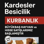 Kardeşler