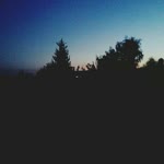 Nuray