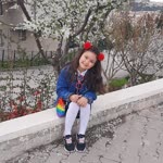 Bahar