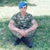 Caner