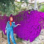 Ebru