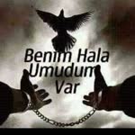 Haydar