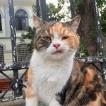 Hatice