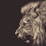 Hakan