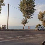 Aykut