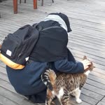 Neşmiye