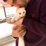 İsmail