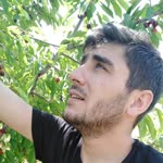 Nazmi