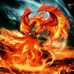Orhan