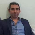 Şahin