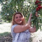 Gül