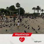 Fatih