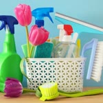 Cleaner